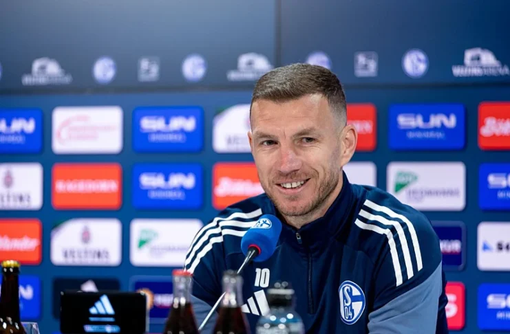 Edin Dzeko / Platforma X