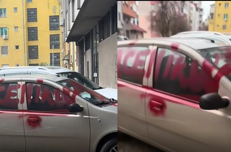 TikTok/ djordjeviiics