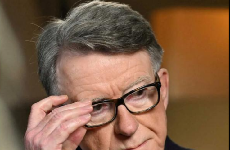 Peter Mandelson / Platforma X