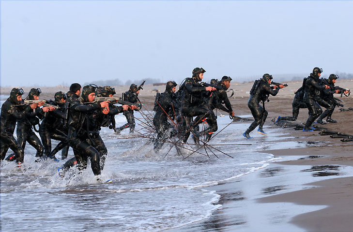 IRGC / Wiki