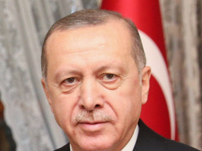 Erdogan / Wiki