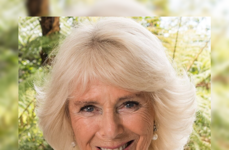 Kraljica Camilla / Wiki
