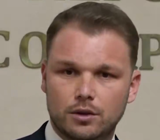 Draško Stanivuković / Platforma X