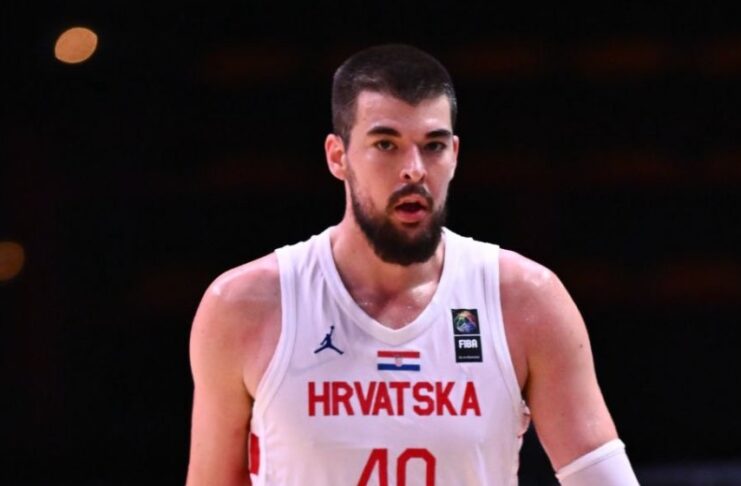 Ivica Zubac / Platforma X