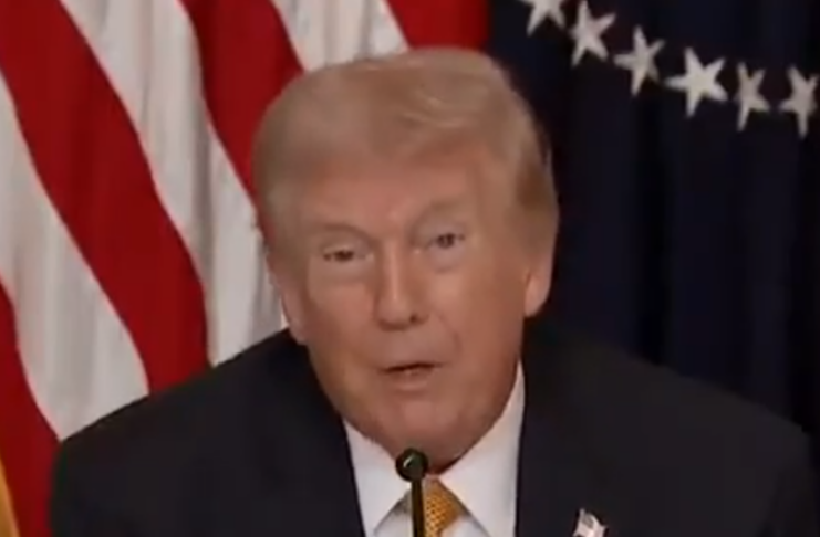 Donald Trump / Screenshot