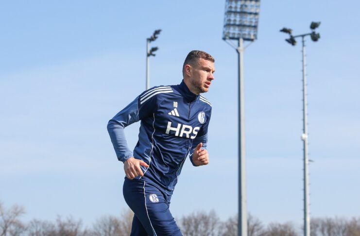 Edin Džeko / Schalke Facebook