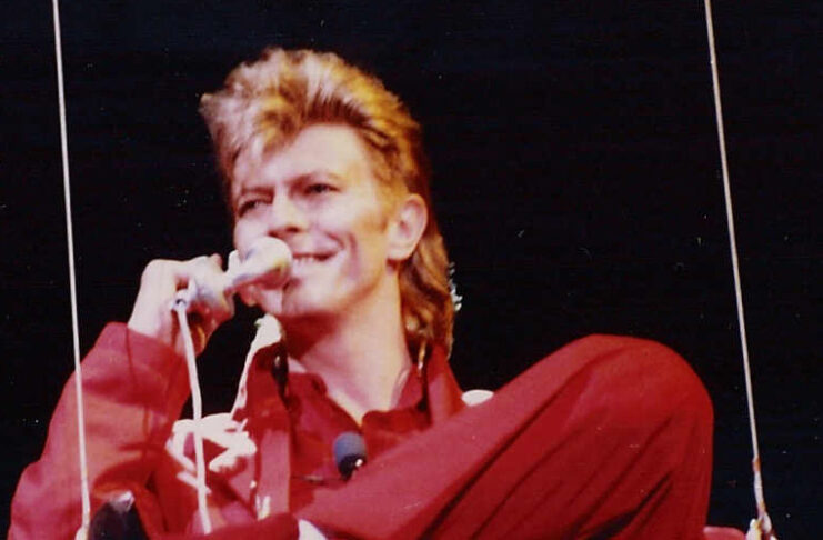 David Bowie / Wiki