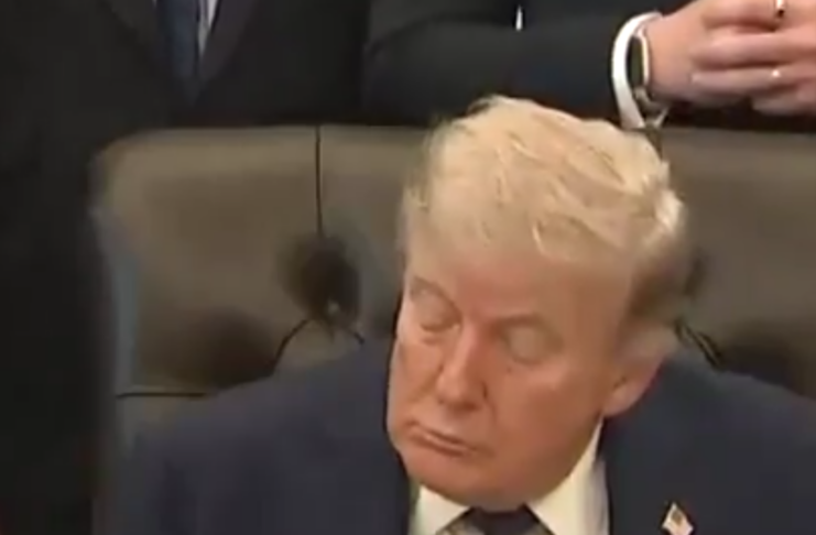 Donald Trump / Screenshot