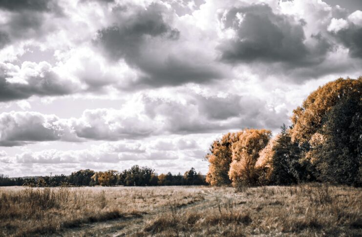 Pixabay