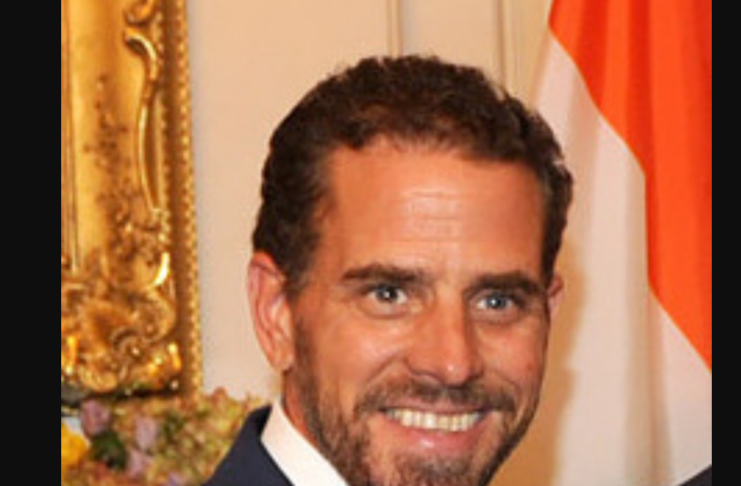 Hunter Biden / Wiki