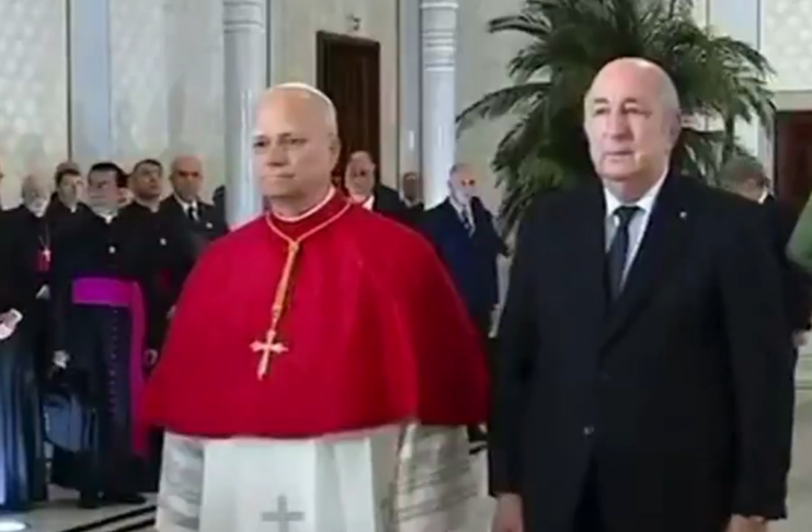 Papa Lav XIV