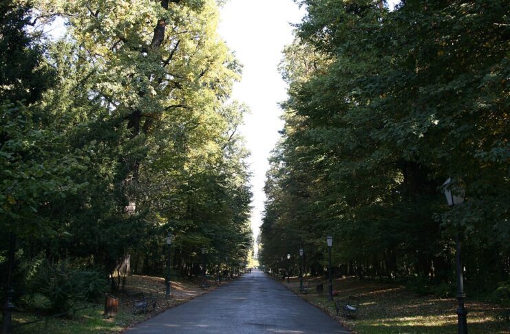 Maksimir / Wiki