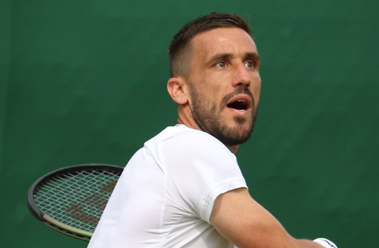 Damir Džumhur / Wiki