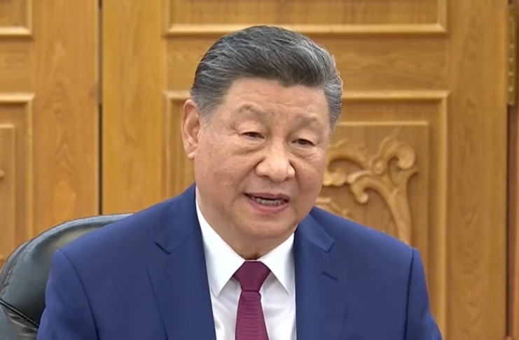 Xi Jinping / Screenshot