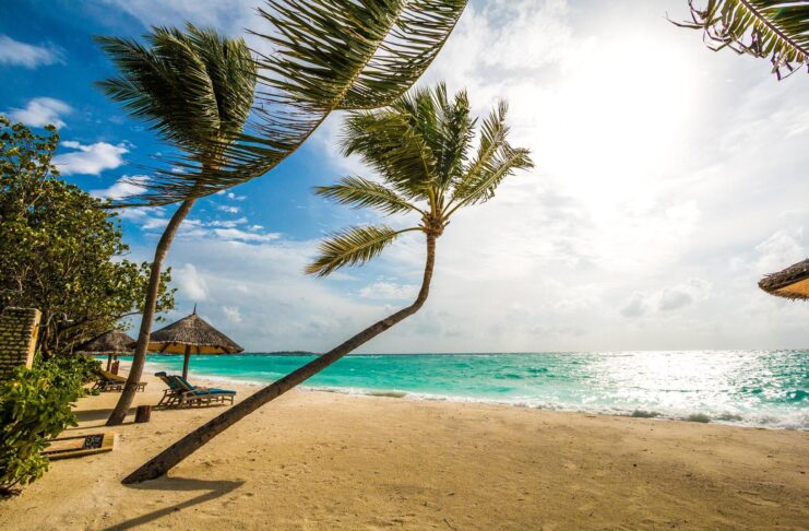 Maldivi / Pixabay