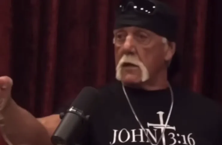 Hulk Hogan / Screenshot