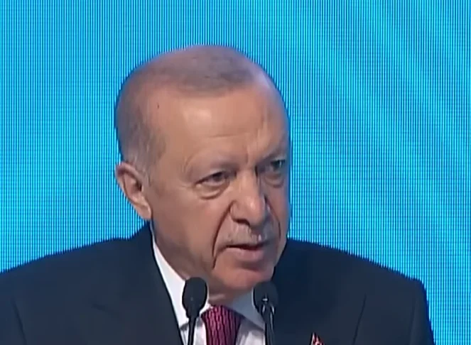 Recep Tayyip Erdogan / Screenshot