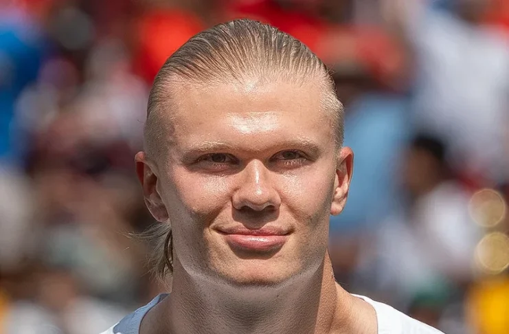 Erling Haaland / Wiki