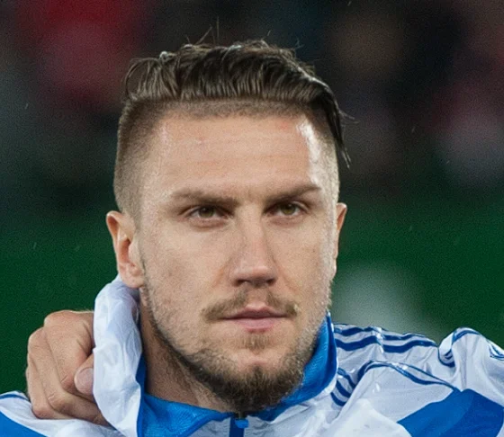 Ermin Bičakčić / Wiki